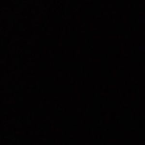 Meet your Posher, Alisha